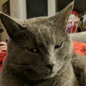 Meet your Posher, Liz